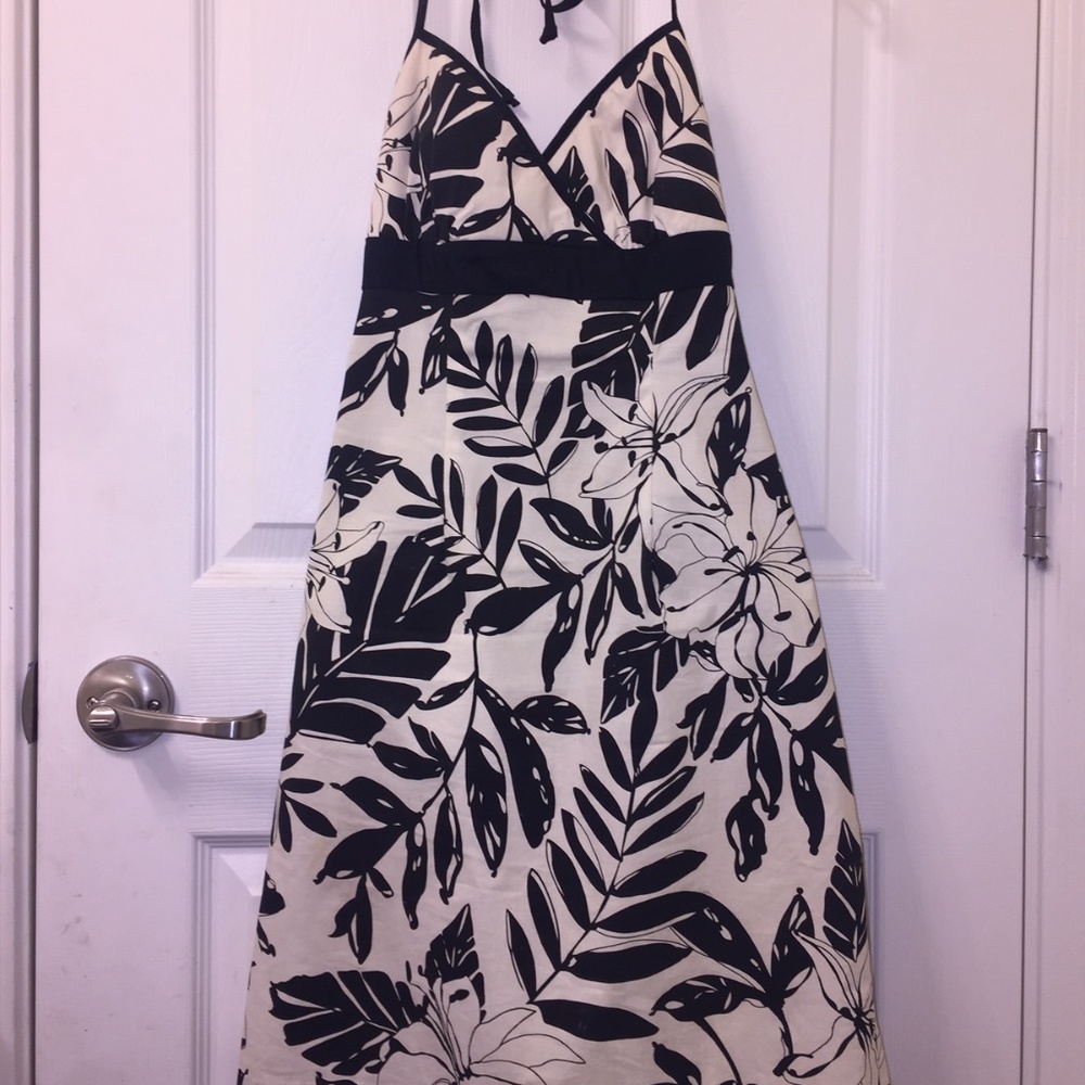 City Triangles Classic Black/Cream Palm Leaf Dress